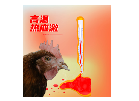 1689038707837928.png 圖片2.png