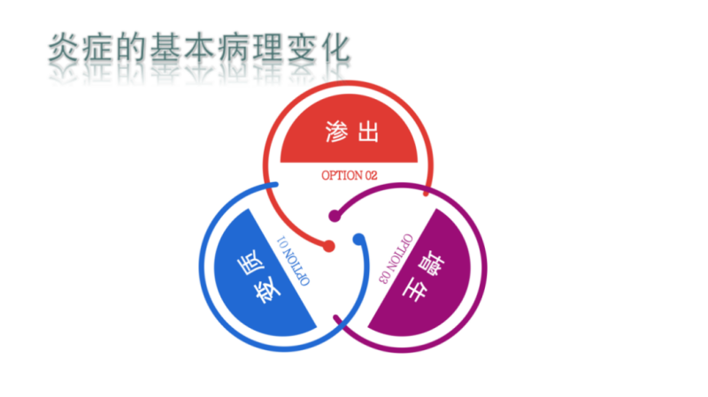 1744594933105551_副本.png