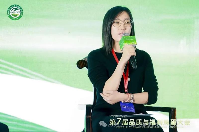 96.jpg