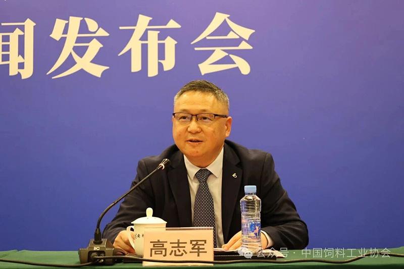 102.jpg