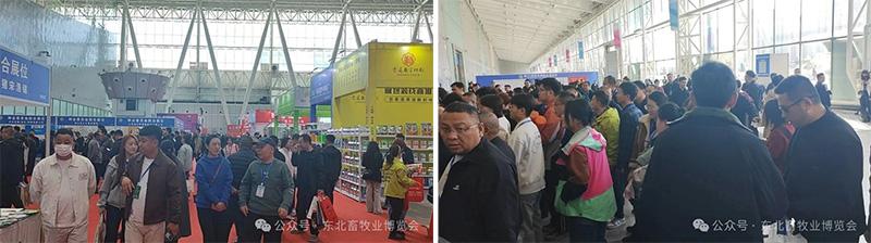 1777518436897598.jpg 圖片5.jpg
