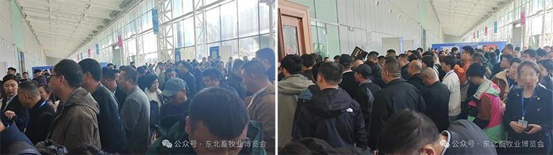 1777518534646016.jpg 圖片3.jpg
