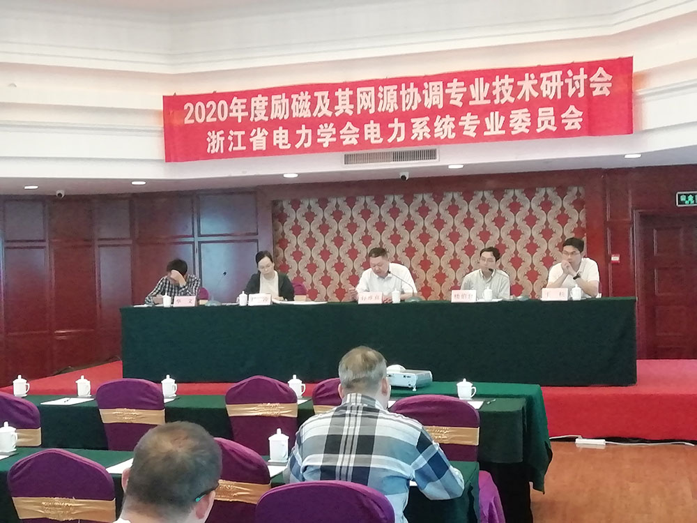 桐鄉(xiāng)2020年度勵磁及其網源協調專業(yè)技術研討會